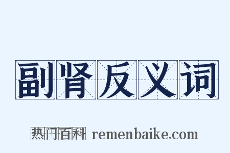副肾反义词是什么意思的图片